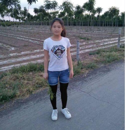 宣化洋河南最新动态，自然美景探索之旅，寻觅内心平和与宁静的旅程