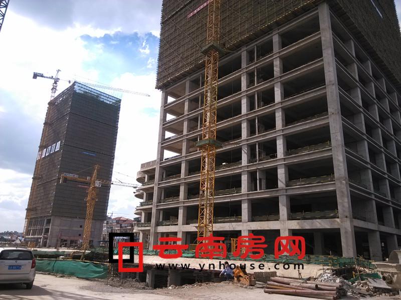 药品批发