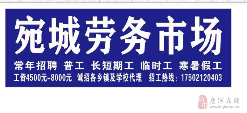 唐河县最新招聘信息发布，求职者的福音！