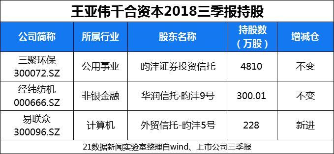 王亚伟最新持股深度解析与案例探究，揭秘其投资策略与动向