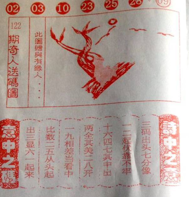 最新彩民乐与阳光探码揭秘，彩票爱好者的新乐园