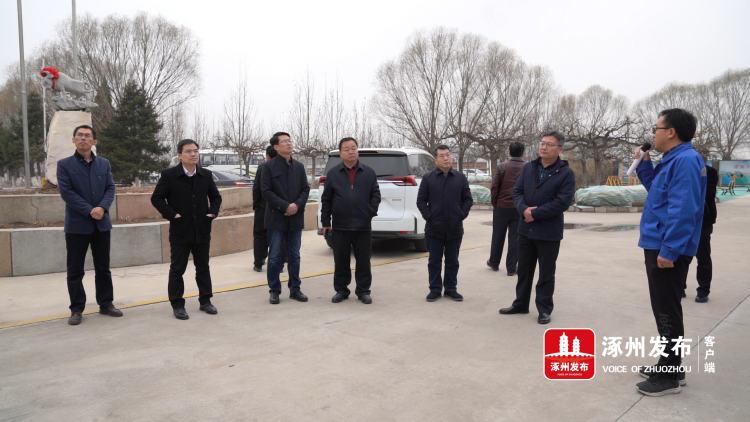 涿州东城坊镇科技新浪潮，最新高科技产品体验报告揭秘